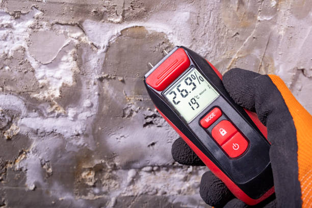 Asbestos and Lead Testing During Mold Inspection in Huntsville, AR